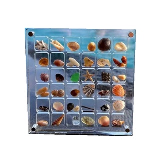 透明亚克力贝壳收纳盒2025海边石头展示标本相框收集盒子磁吸带盖