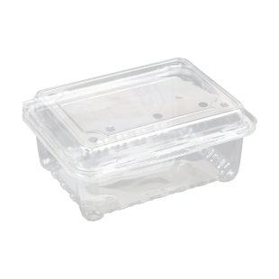 一次性草莓包装盒一斤装水果盒子车厘子打包盒蔬菜塑料盒带盖透明