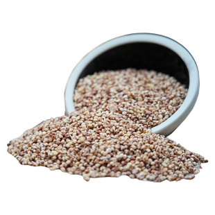 东北红粘高粱米黏糯高粱米新米高粱仁杂粮粥红高粱大米包粽子年糕