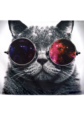 可定制可爱萌趣动物猩
