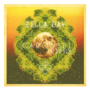 Zella Day 泽拉黛 音乐女歌手 壁纸 墙贴 装饰画 海报 照片 挂画