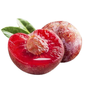 蜂糖李子树苗嫁接特大晚熟脱光青脆西梅李子苗南北方种植果树果苗