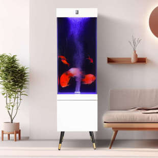 2025新款 鱼缸落地客厅免换水循环底背过滤带柜子一体 超白玻璃立式