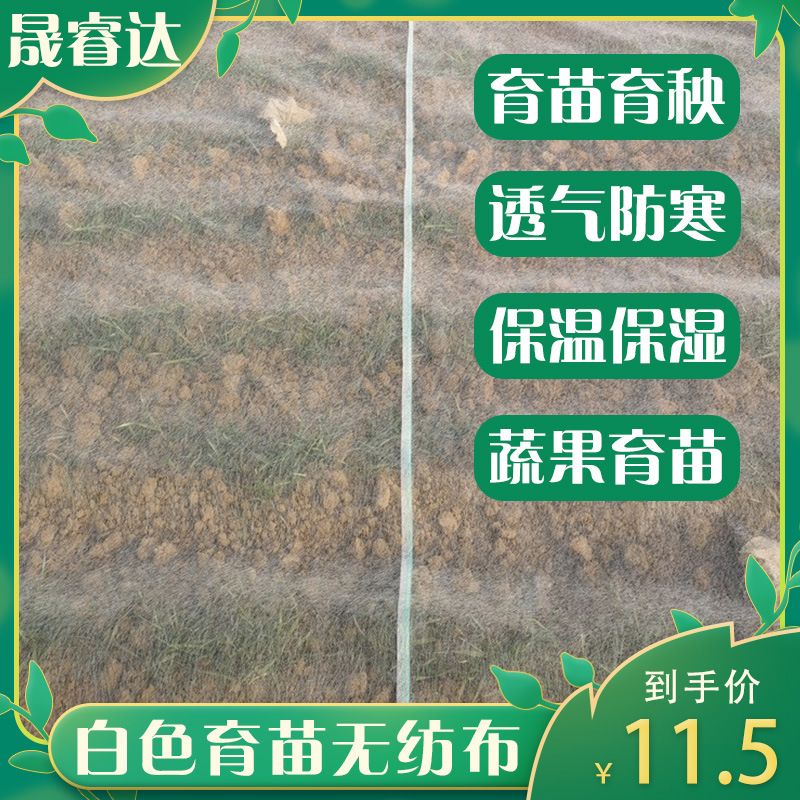 20克防寒无纺布覆盖草坪无纺布农用无纺布育秧育苗无纺布防冻保暖