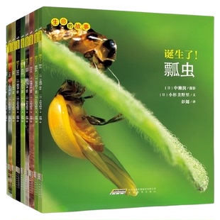 生命的故事系列全套第12345辑高清写真儿童昆虫百科书2-3-6岁绘本