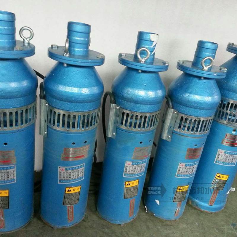 QSP型充水浸湿式喷泉泵水泵/不锈钢水景观假山园林喷泉专用潜水泵