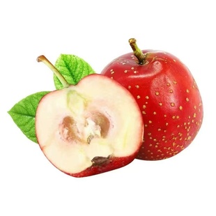 新鲜山楂果大山楂鲜果金星鲜山楂大果山里红冰糖葫芦用现摘生山楂