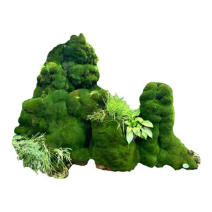 苔藓孢子粉种子短绒吸水石青苔种籽永生耐晒造假山微景观盆景绿植