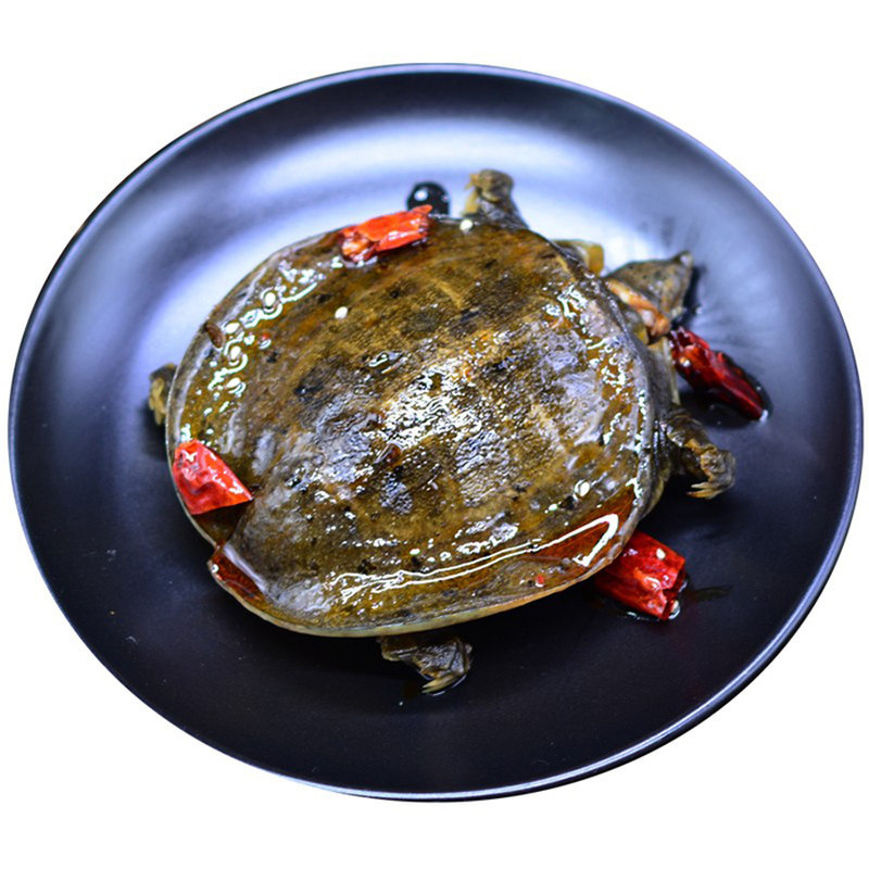 麻辣甲鱼肉熟食开袋即食整只甲鱼团鱼憋网红食用卤小甲鱼徐掌勺