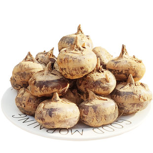 特大广西荔浦马蹄甜脆荸荠新鲜地梨地栗红马蹄果时令水果蔬菜包邮