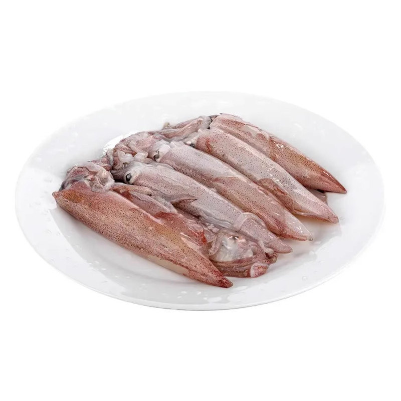 东山小管鱿鱼冷冻鲜活海兔子弹管笔管鱼海鲜水产小管鱿酒店商用