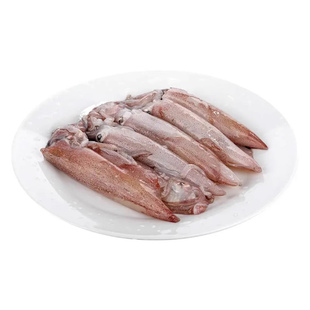 东山小管鱿鱼冷冻鲜活海兔子弹管笔管鱼海鲜水产小管鱿酒店商用