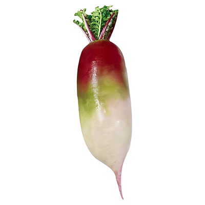 冰激凌甜心水果萝卜种子甜脆型