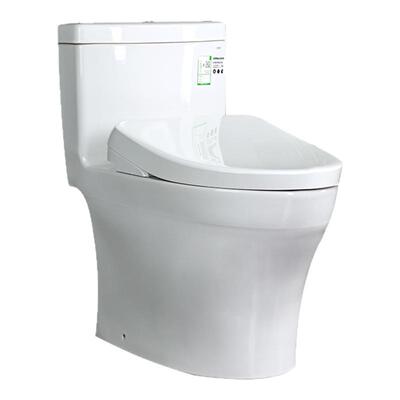 TOTO智能马桶CW987SEB+TCF3M460