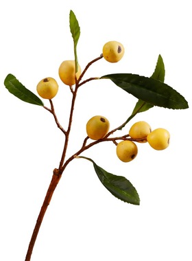 仿真树枝软装拍摄道具餐桌花