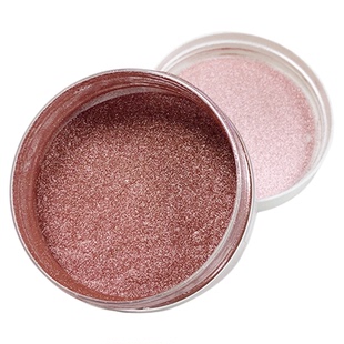 钛金粉美甲魔镜粉镜面粉金属粉耐溶剂美甲颜料指甲油甲油胶原材料