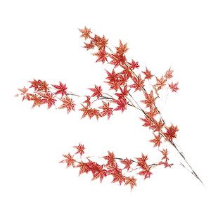 仿真假红绿色单支鸡爪槭日本红枫流泉枫叶盆景绿植物室内摆放配材