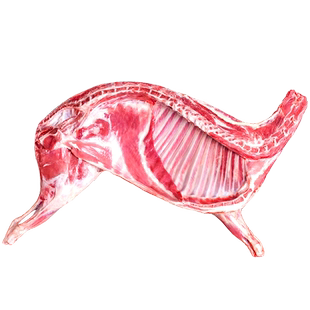甘肃滩羊半只羊10斤羊肉新鲜手把生羊肉羊腿羊排羊蝎子火食材