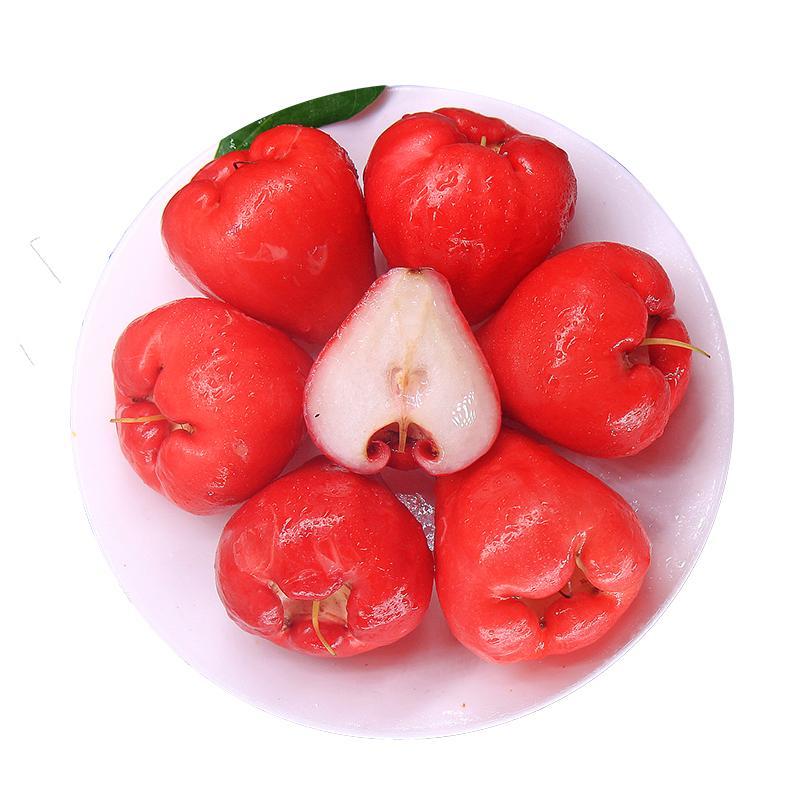 海南紅寶石蓮霧清甜多汁現(xiàn)摘現(xiàn)發(fā)