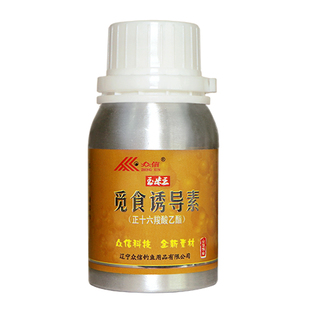 众信玉米王觅食诱导素垂钓诱鱼添加剂钓鱼诱食剂野钓开口