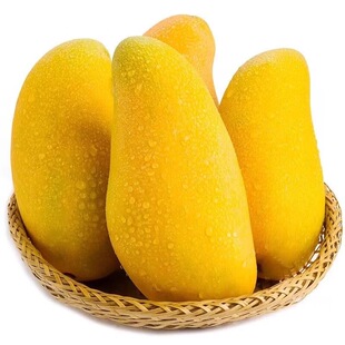 海南金煌芒果整箱9斤包邮新鲜现摘当季热带水果皮薄核小甜蜜多汁5