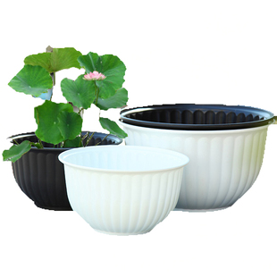 荷花盆无孔水培花盆荷花睡莲铜钱草紫砂碗莲盆缸小金鱼无孔大花盆