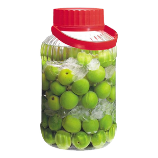 日本进口东洋佐佐木密封罐青梅酒瓶酵素柠檬大号泡药酒罐子玻璃瓶