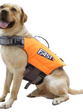 夏季狗狗救生衣中大型犬游泳背心