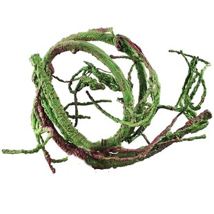 树藤藤条爬虫箱造景用树藤变色龙蜥蜴蛇寄居蟹攀爬沉木杜鹃木树枝