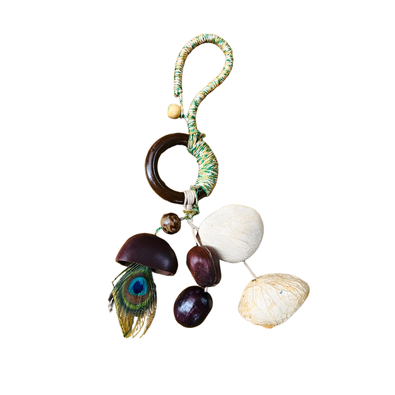 云南音疗愈果壳手摇铃果实菩提种子串包包挂件车内挂饰送闺蜜礼物