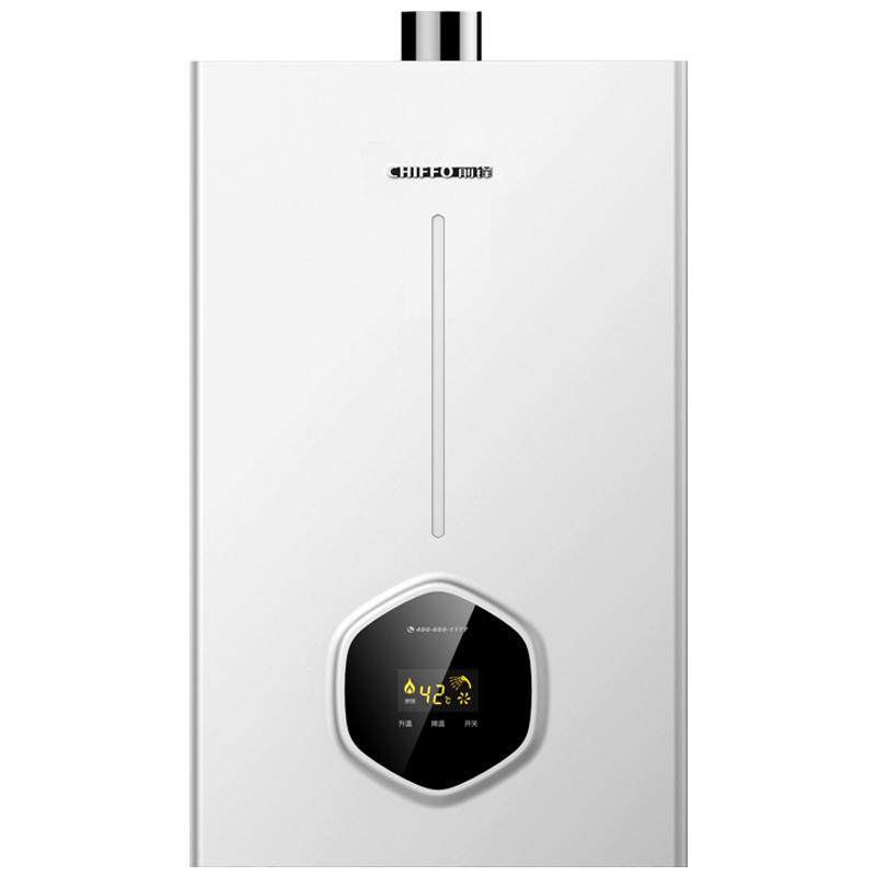 前锋燃气热水器恒温12L强排天然气热水器速热淋浴B01R燃气热水器