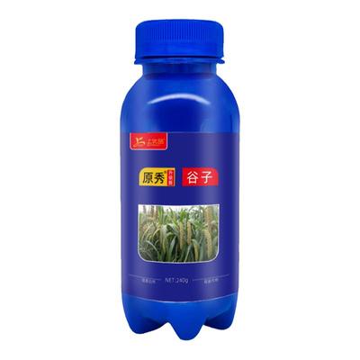 快长增产谷子营养液上优品膨果