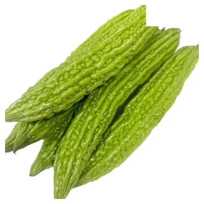 八方美现摘现发农家苦瓜