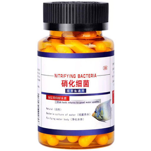 鱼缸硝化细菌胶囊去除腥味水质净化打造空气缸分解鱼粪必备用品