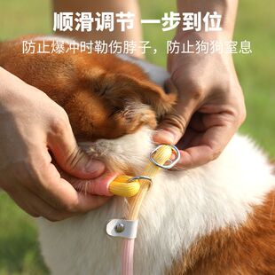 狗狗牵引绳防爆冲p绳遛狗挣脱犬防大型犬狗P中小型拴脖神器链绳套