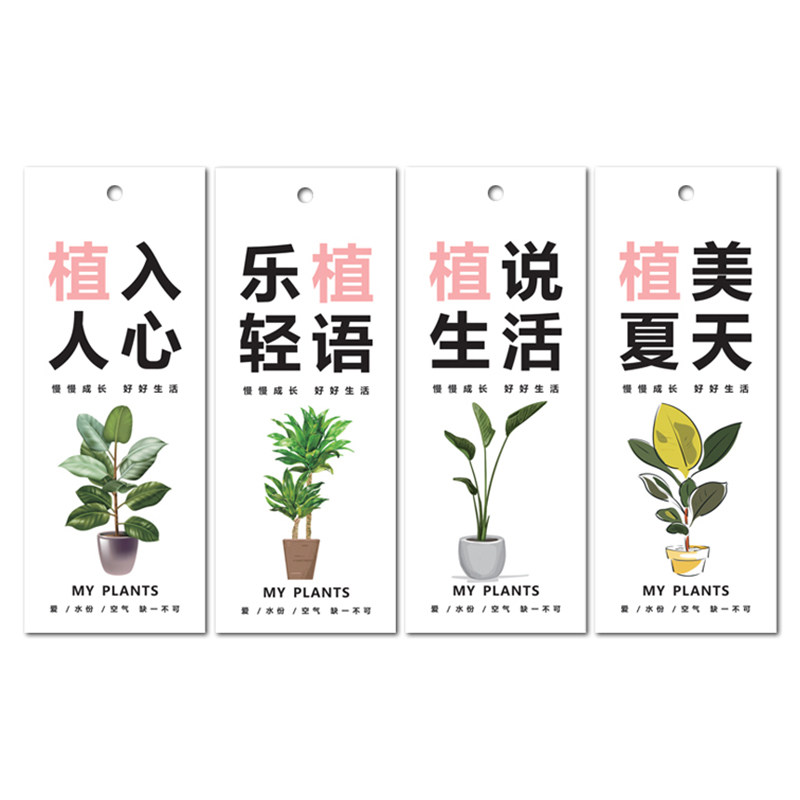 蝴蝶兰吊牌订做 植物养护卡片防水盆栽绿植养护吊牌定做 鲜花挂卡
