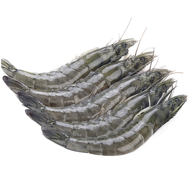 黑虎虾仁鲜冻1500g无冰净重