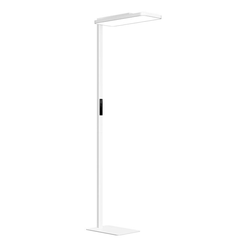 С�� �׼���ʽѧϰ��2 ��·�� ����̨�� ��ص� 1996.65Ԫ