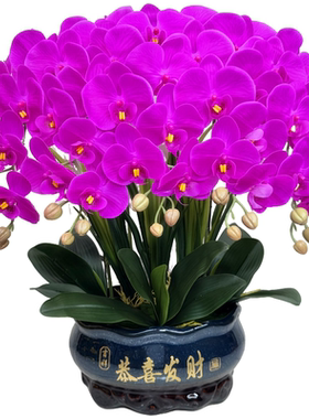 高档仿真花蝴蝶兰花客厅装饰