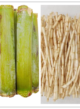 白茅根新鲜马蹄茅根蔗羊糖水