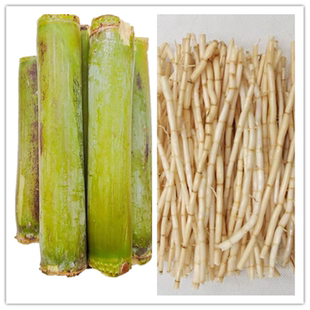 白茅根新鲜茅根甘蔗马蹄荸荠饽竹蔗荠孛广东糖水凉茶食材组合