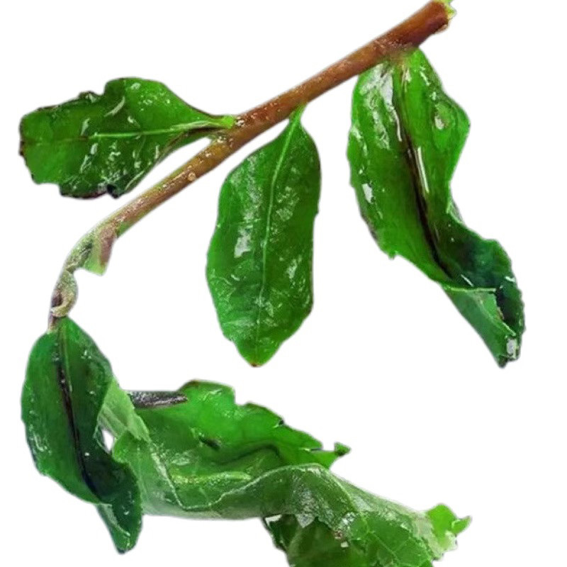 2025新茶铁观音毛茶带梗清香型茶叶乌龙茶春茶带梗铁观音