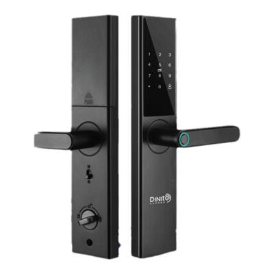 帝尼特A53D智能门锁十大品牌