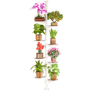 顶天立地悬挂花架阳台室内拐角落地式窗台植物立体置物架花盆架子
