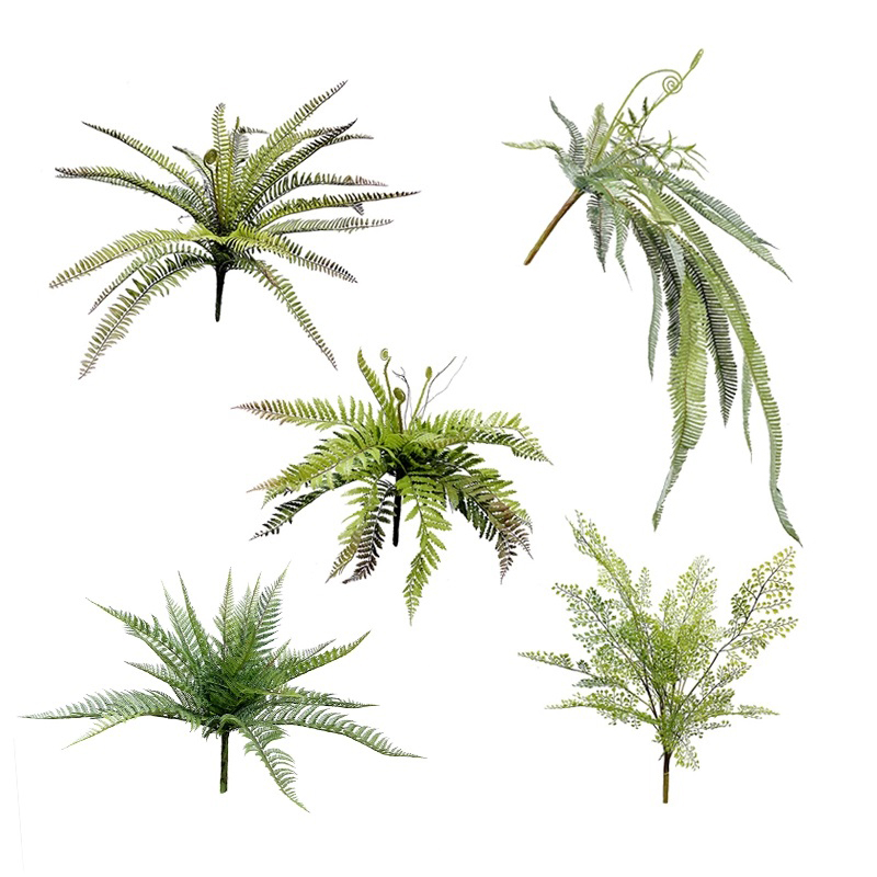 特丽卉仿真绿植蕨草叶束森系装饰