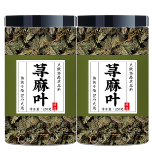 火麻叶荨麻叶茶泡水喝苘麻叶荨麻草500g非野生特级中药材批发市场