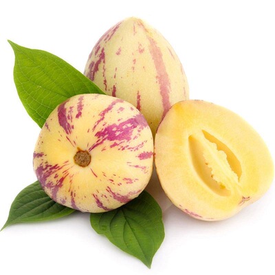 人参果秧苗黄心大果幼苗四季高产