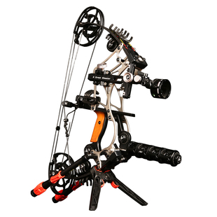 钛合金精灵两用复合弓AGS射手正品射箭射鱼打钢珠成年人狩猎滑轮