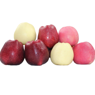 正宗甘肃天水秦安黄元帅脆糯甜香现摘苹果孕妇水果酸甜黄香蕉苹果