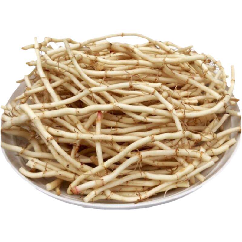 挖新鲜鱼腥草嫩根折耳根蔬菜凉拌